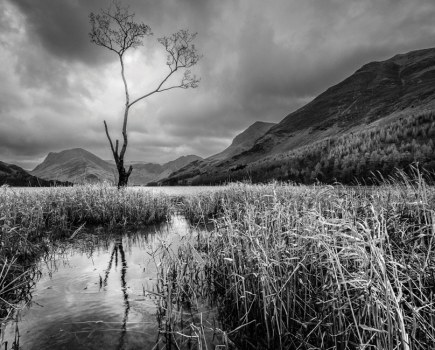 Complete Guide to Black and White Photography