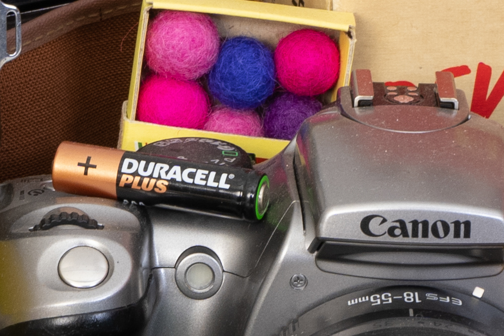 Panasonic Lumix S5II, raw + Adobe Camera Raw, ISO 400, 100% crop