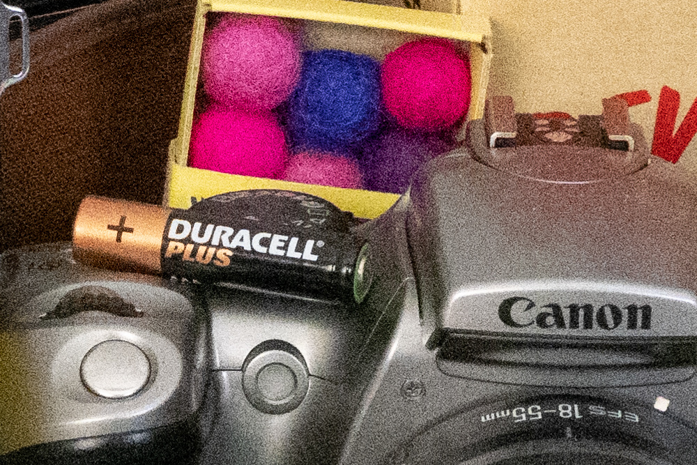 Panasonic Lumix S5II, raw + Adobe Camera Raw, ISO 51,200, 100% crop