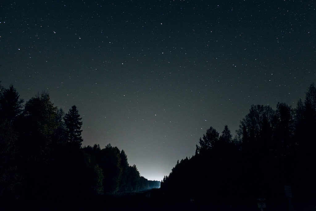 night sky with silhouette of trees