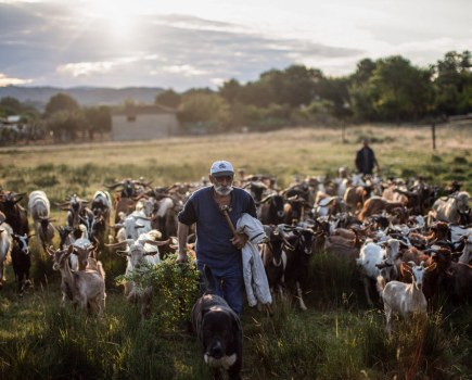 Vasilis Tsiolis 2022 Canon Student Development Programme alumni 2022 alumni Vasilis Tsiolis, photo part of a series following nomadic goat herders in Greece which has been covered by the Guardian.