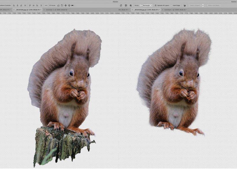 Adobe Photoshop review, device vs cloud
