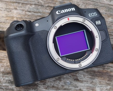 Canon EOS R8 sensor