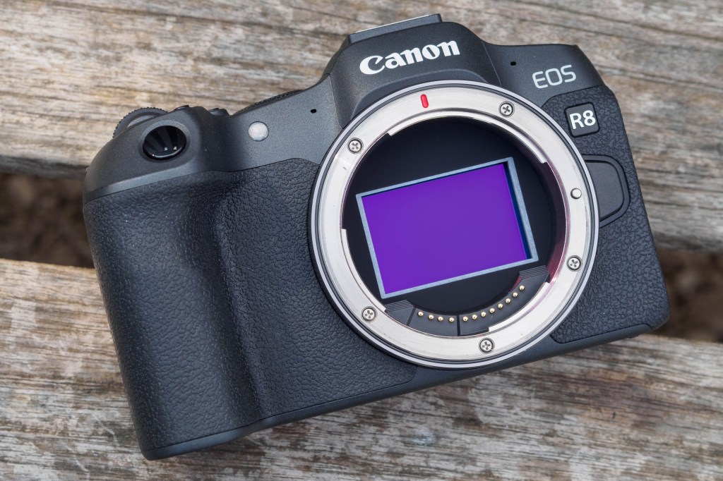 Canon EOS R8 sensor