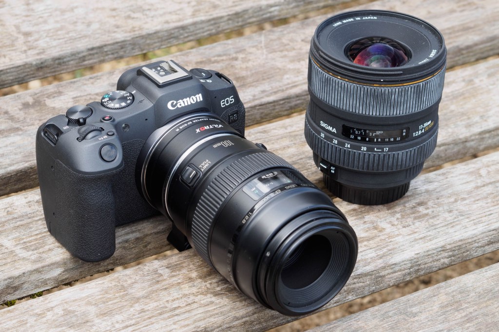 Canon EOS R8 with adapted EF DSLR lenses