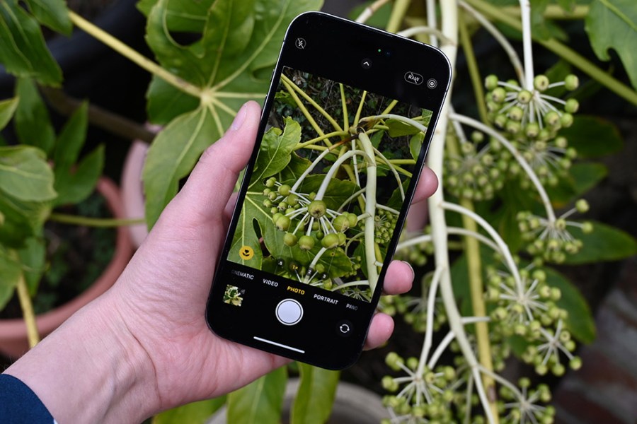 smartphones for macro photography person holding phone against some greenery