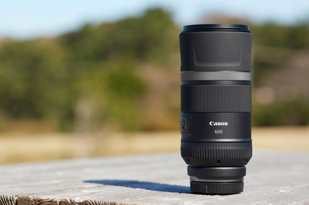 Best Canon RF lenses for wildlife photography: Canon RF 600mm F11 IS STM