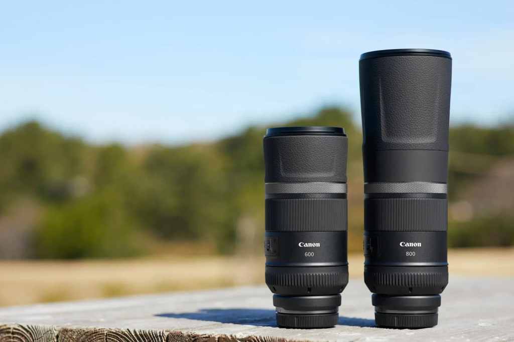 Best Canon RF lenses for wildlife photography: Canon RF 800mm F11 IS STM