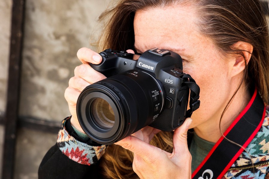 Best Canon RF lenses for wildlife - Amateur Photographer