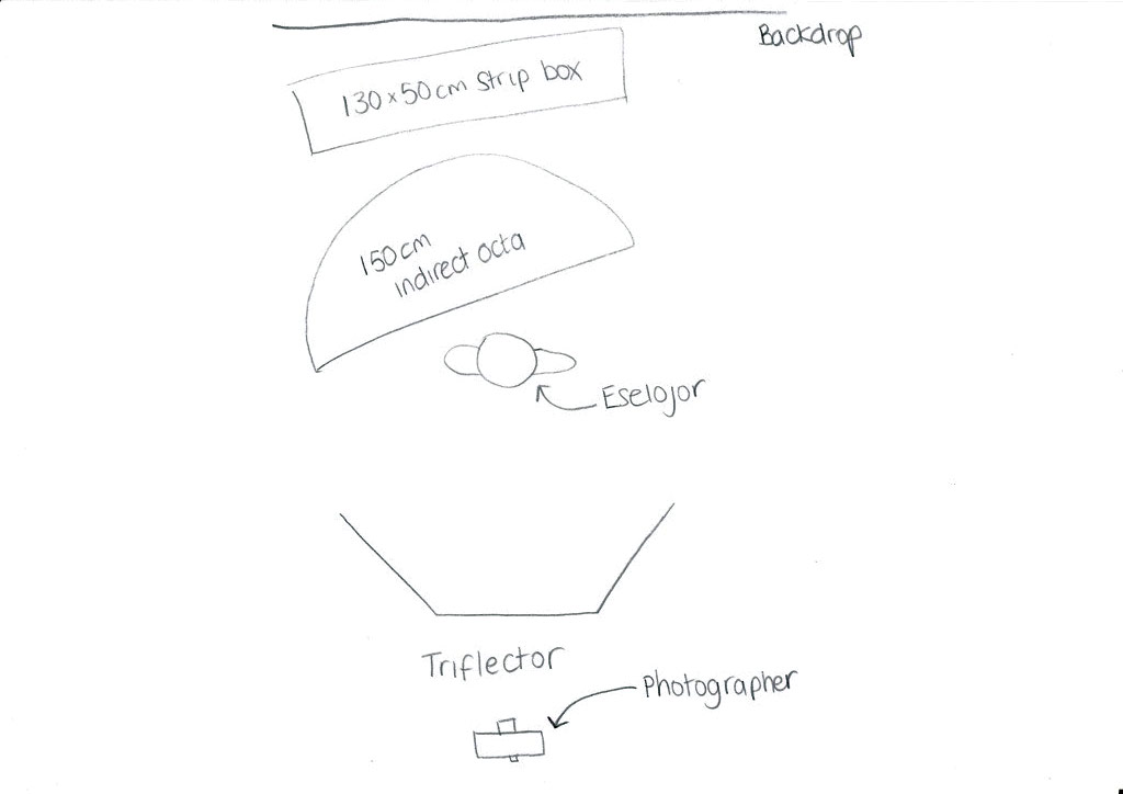 BTS diagram for Tianna butterfly lighting