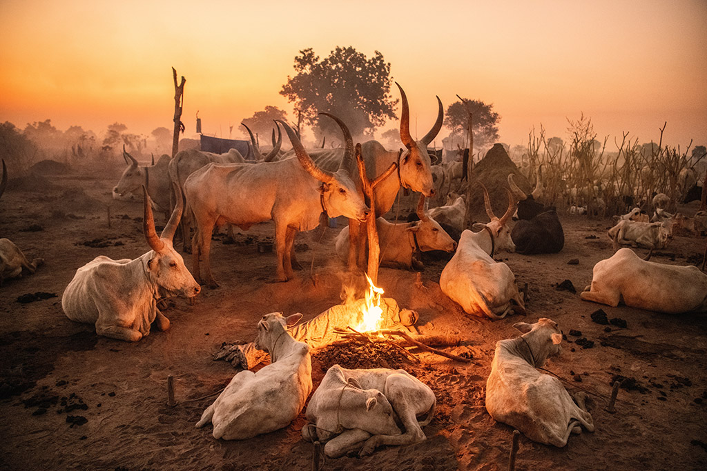 Quiescence in the south sudan cattle camp apoy 2023 round two travel winners