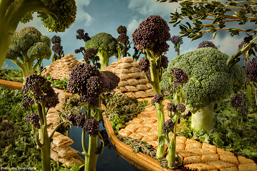 amazonian foodscape scene created from broccoli