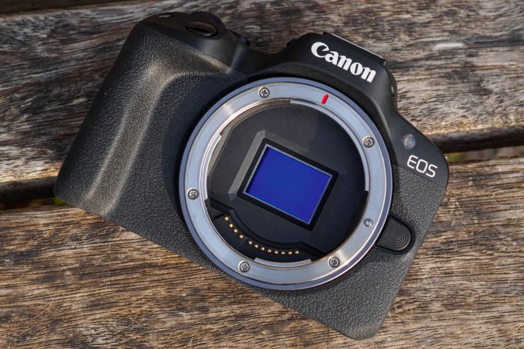 Canon EOS R50 sensor