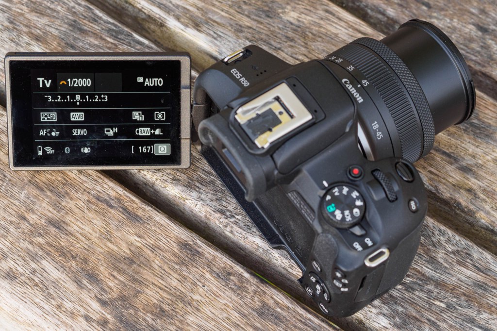 Canon EOS R50 articulated screen