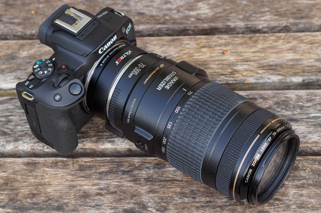 Canon EOS R50 with adapted EF 70-300mm lens