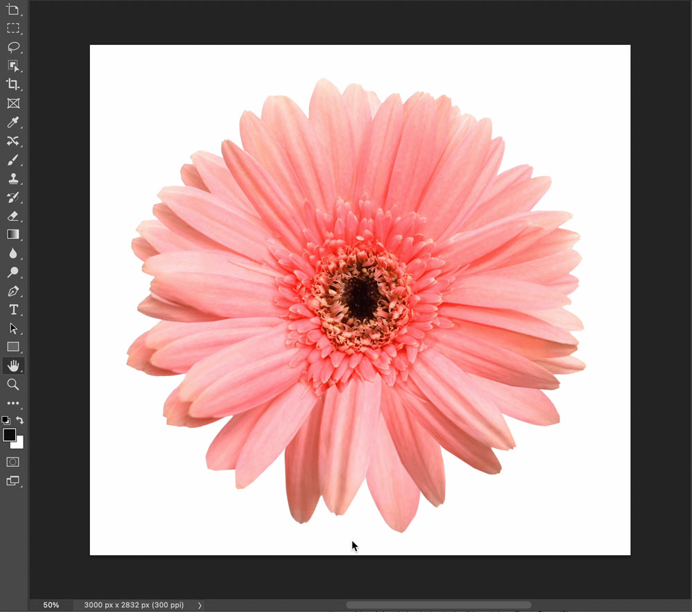 Adobe Photoshop contextual task bar