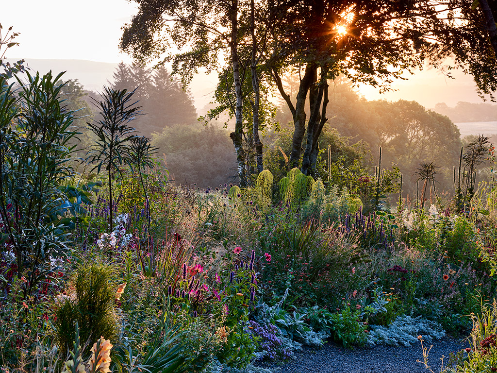 shooting into the light in a wildflower garden adds drama