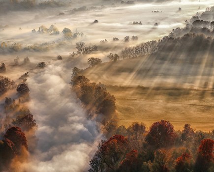misty landscapes scene