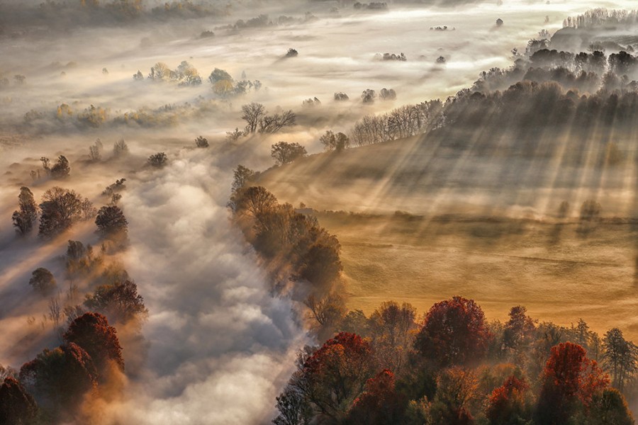 misty landscapes scene