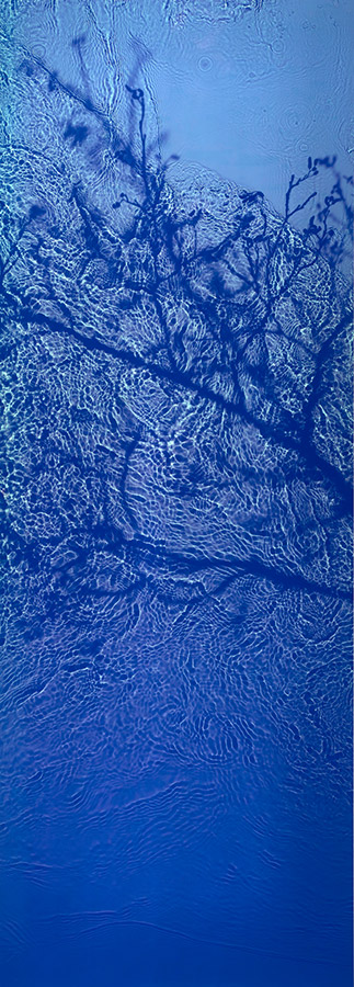Susan Derges, The Streens, Alder, 1998-2019. Lambda C print from Dye Destruction printEdition of 2 177 x 71cm £12,500 + VAT exhibited in space to breathe festival