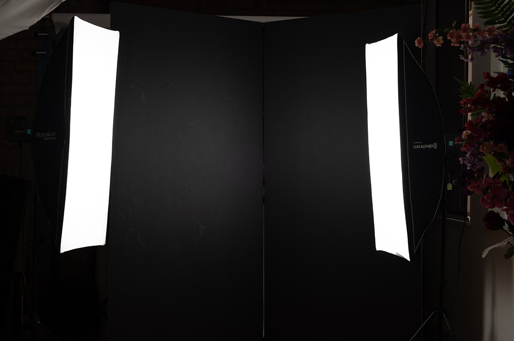 two Elinchrom lights (ELC 500) and two Elinchrom StripBoxes 150x30cm facing eachother