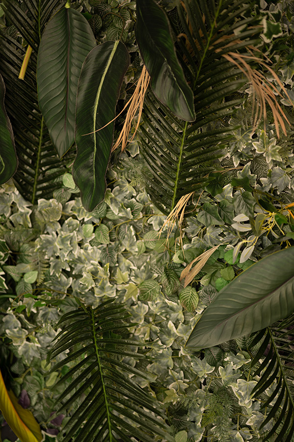 foliage background for boudoir shoot