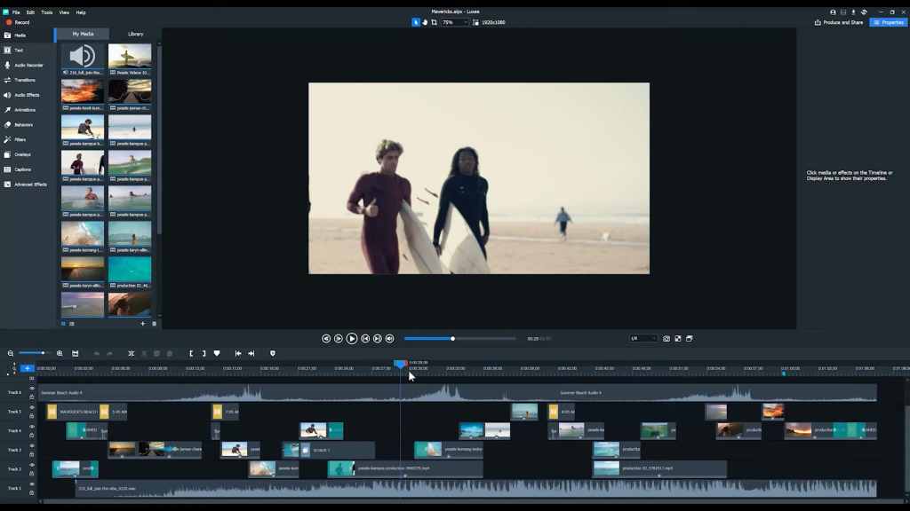 Professional video editing software