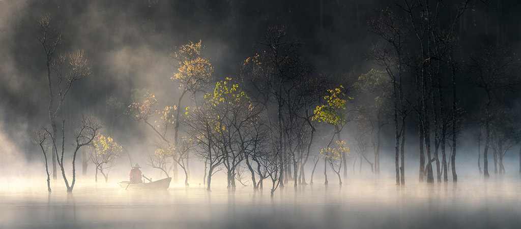 misty lake with line of trees person in rowing boat amongst trees