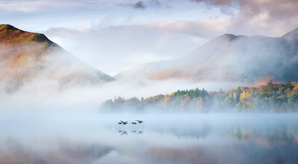 misty quiet scene at birds taking flight at Derwentwater in the Lake District