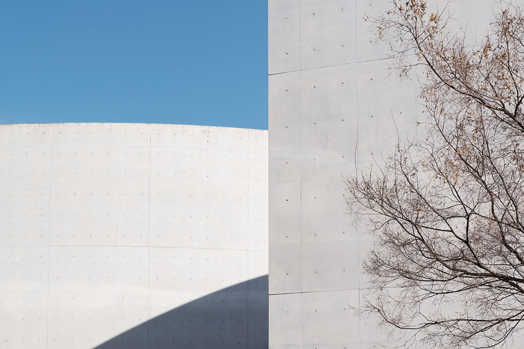 leafless tree in seoul against grey building abstract against blue sky Mimesis Museum. Castanheira & Bastai Arquitectos + Jun Sung Kim + Álvaro Siza Vieira. Seoul, South Korea