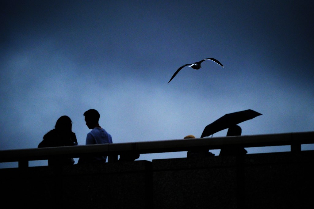 Seagull in flight against overcast sky, in the foreground dark silhouettes of people walking by. Shot on Fujifilm X-H2S
