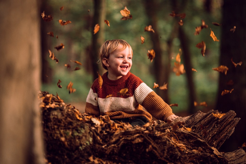 Smiling young boy playing in autumn leaves. Sony A7 IV test shot