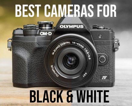 Best cameras for black and white round up