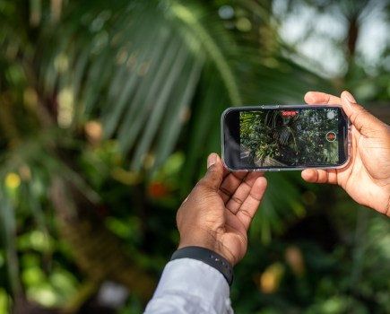 Handheld iPhone taking a video with a green leafy background