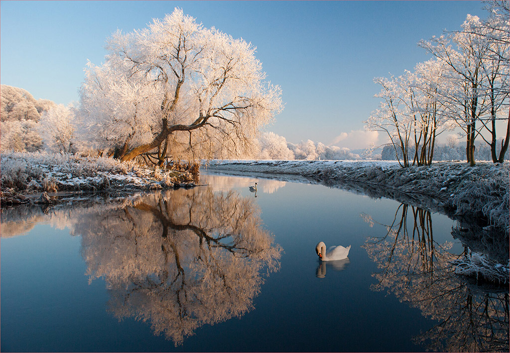 atmospheric and chilly winter scene, shot at the River Trent