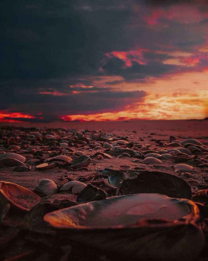 low tide at beach in New York at sunset iphone 14 pro max robert villano 