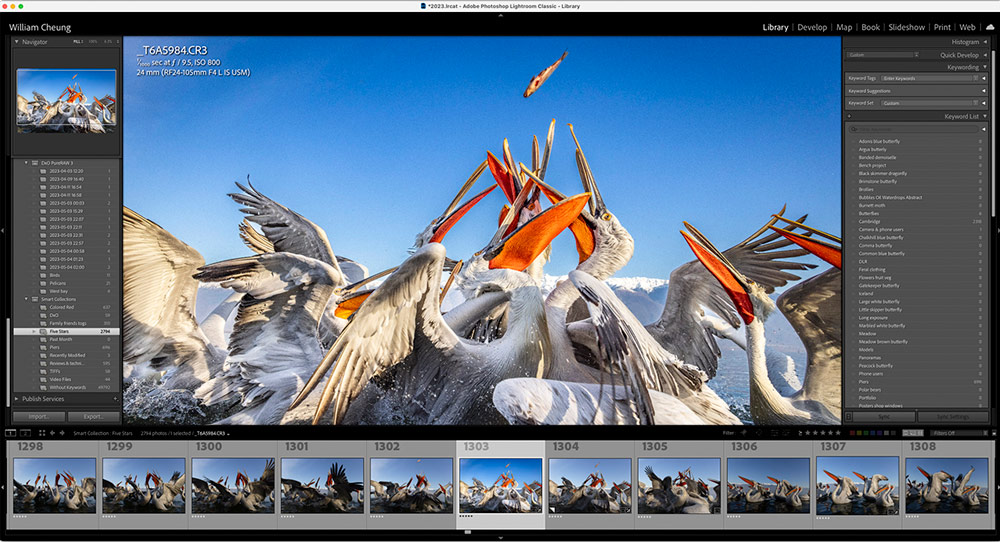 Lightroom vs Photoshop – which is best for photo editing?