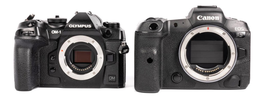 olympus OM-1 and Canon EOS R5 cameras