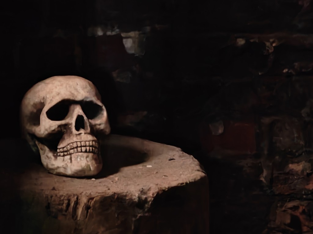 night mode dark corner with skull on wooden plinth close up