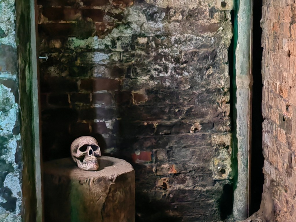 night mode dark corner with skull on wooden plinth