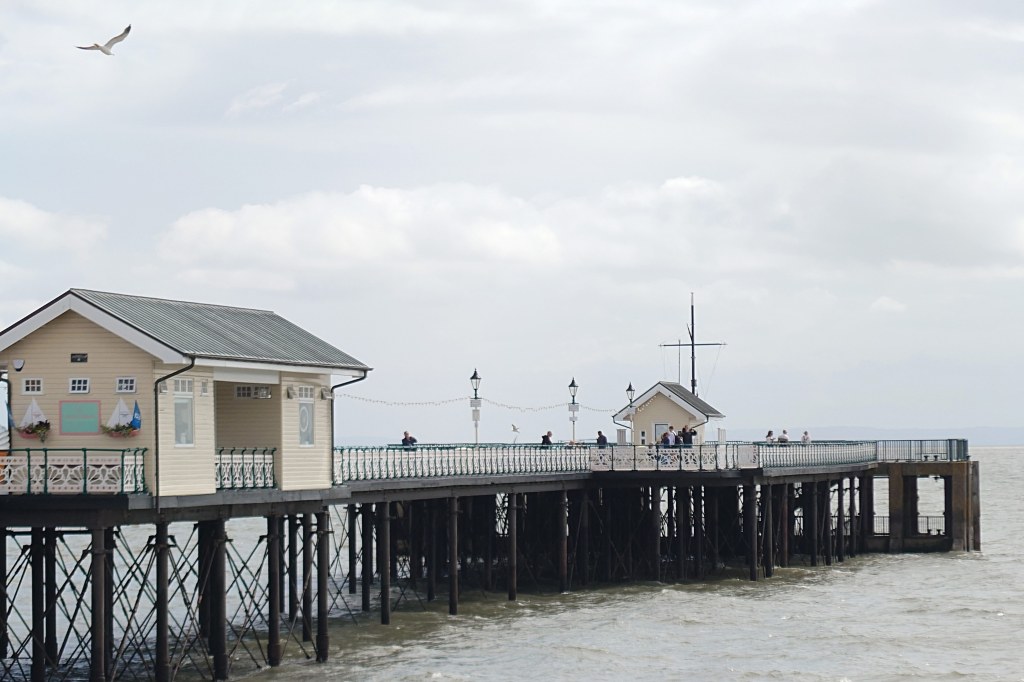 Sony Xperia 1 V sample photo, zoom, pier at overcast sky