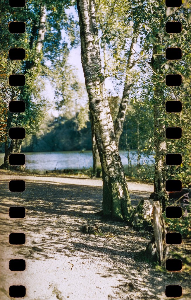 Sprocket photography, landscape with trees and and water