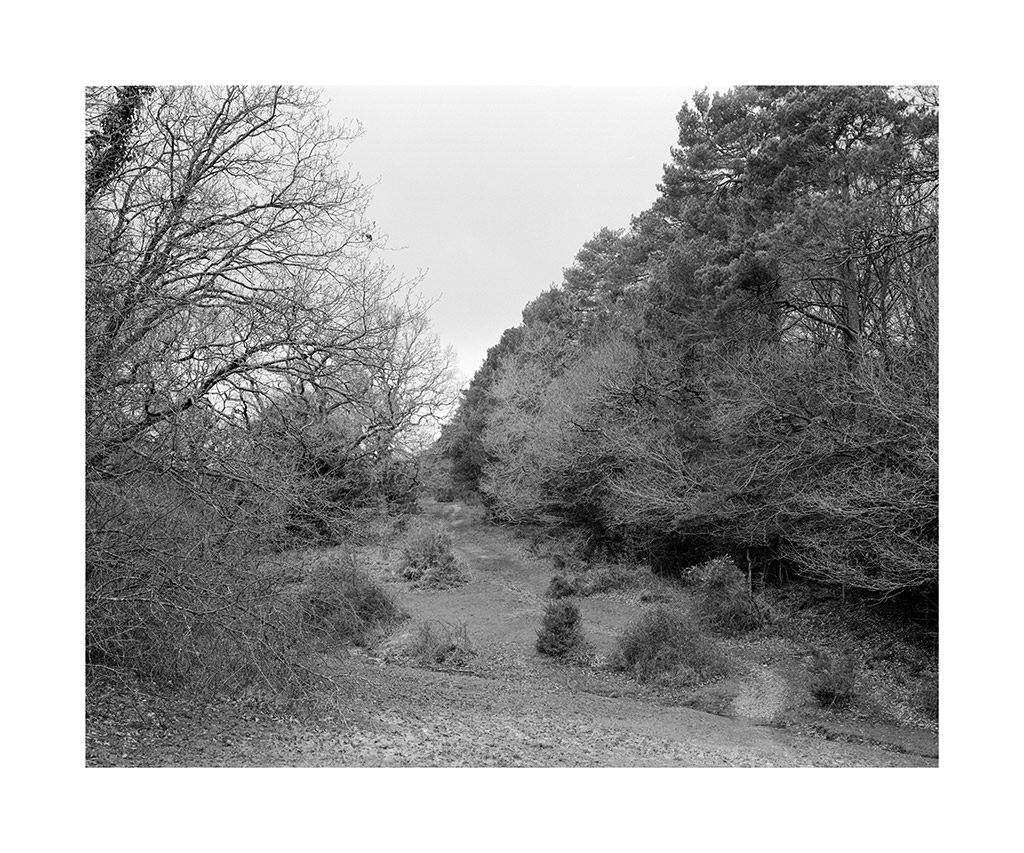 large format black and white landscape with white border photography graduate work