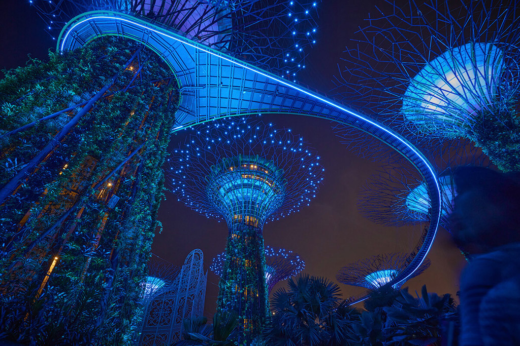 night shot of Singapore’s Garden by the Bay lit up in blue against the orange of the city’s lights