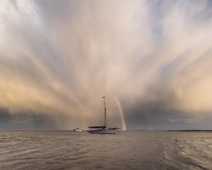 ethel alice by shaun mills weather photographer of the year shortlist