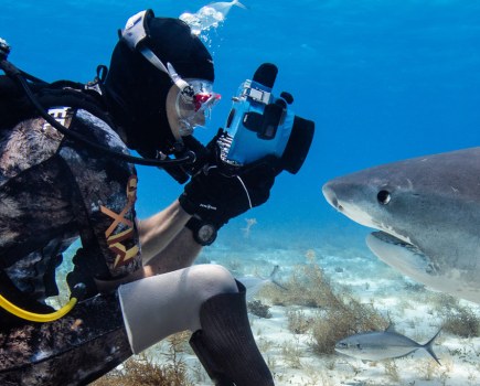 Mike Coots in scuba diving suit photographing a shark up close