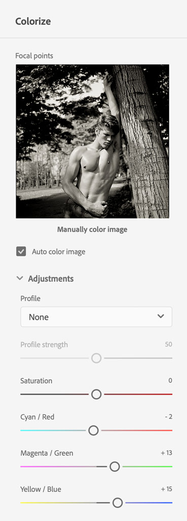 Photoshop AI Colouring tool's menu