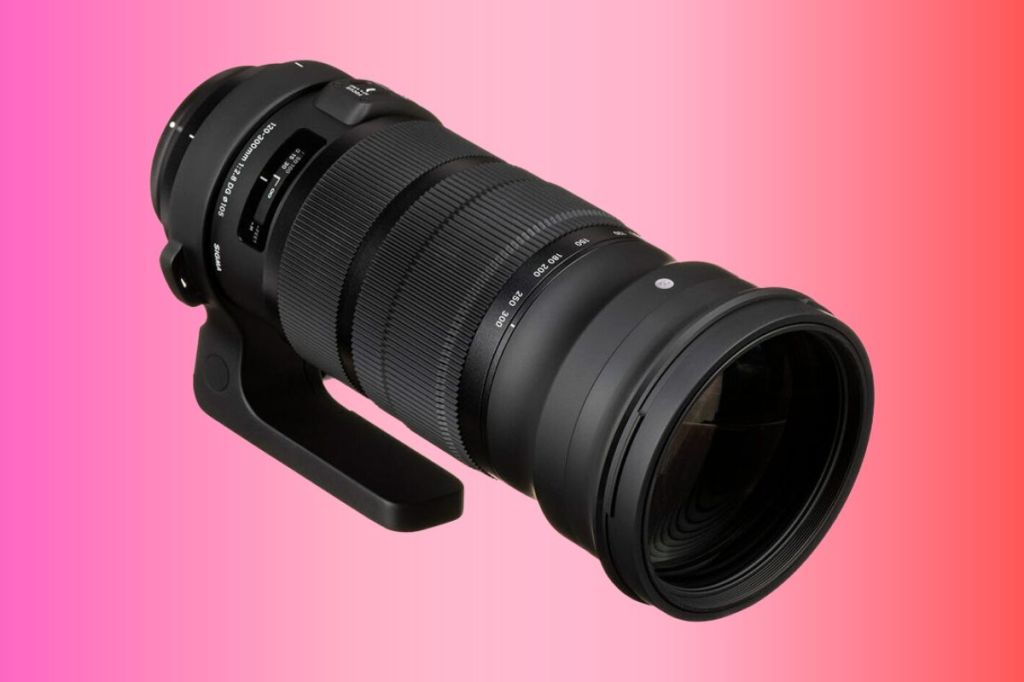 Sigma 120-300mm f/2.8 DG OS HSM Sport