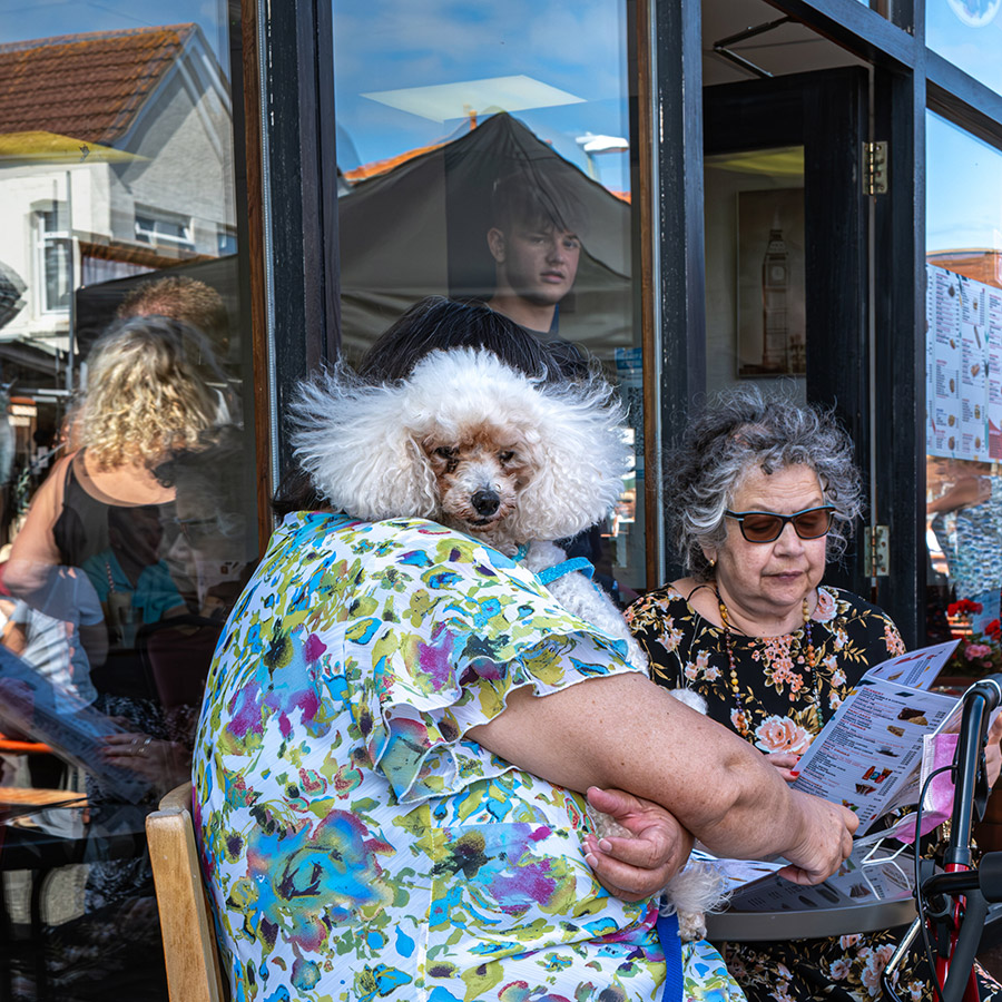 apoy 2023 street round winner woman sat holding white dog with dogs head in place of womans urban life