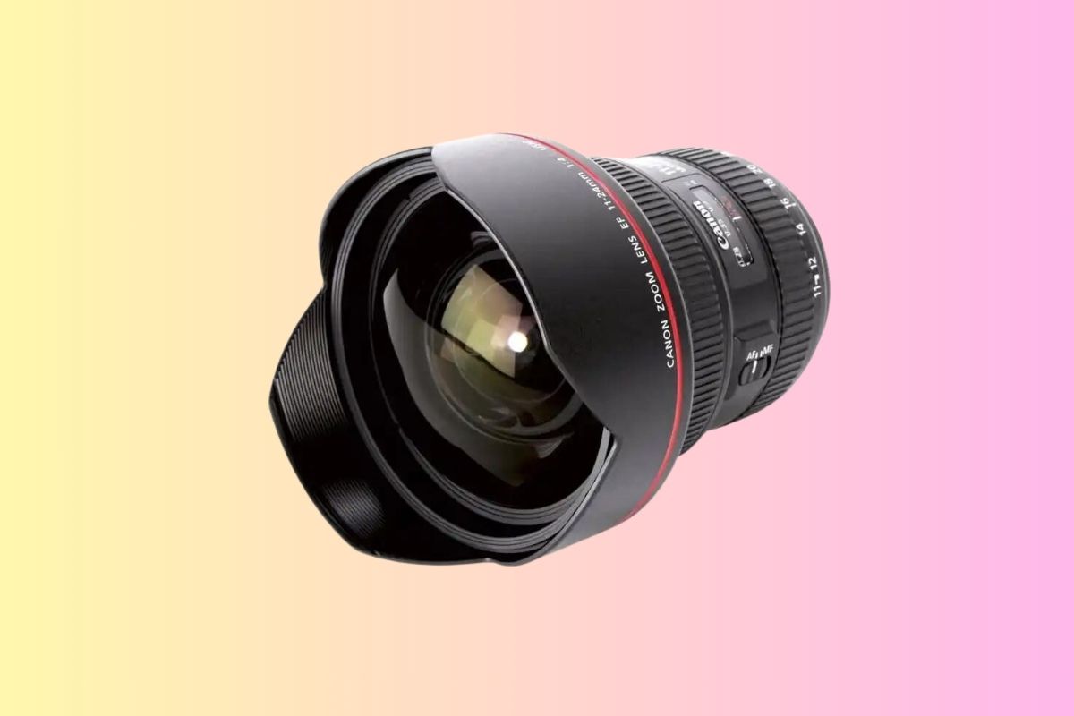 Best Canon EF lenses to buy right now - Amateur Photographer